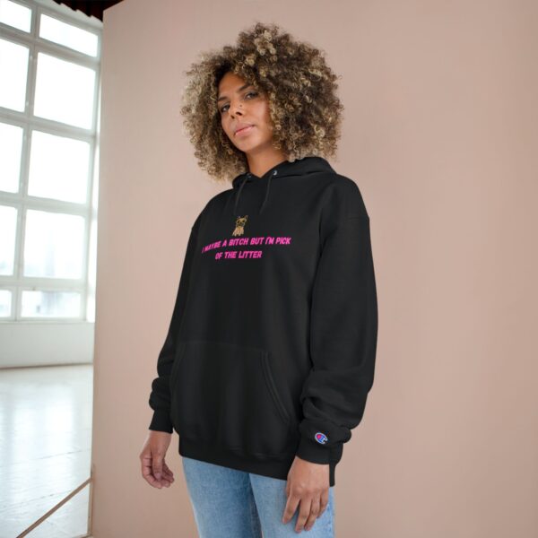 Champion Hoodie - Image 8